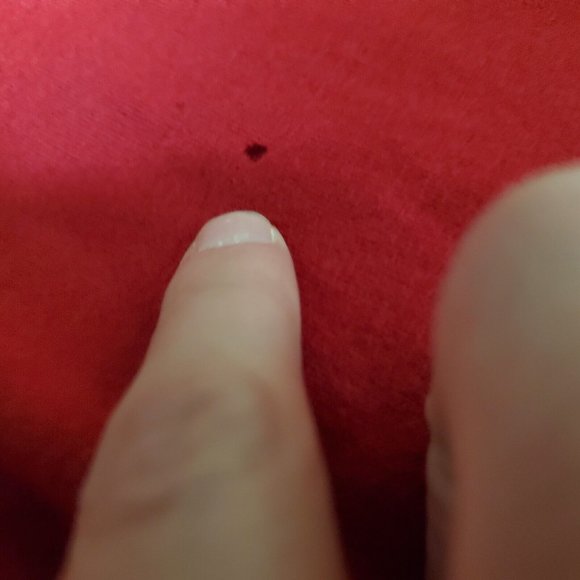 Sara Campbell Dress Petites Size Large Large Button Down New W Defects NWT Holes - Picture 11 of 12